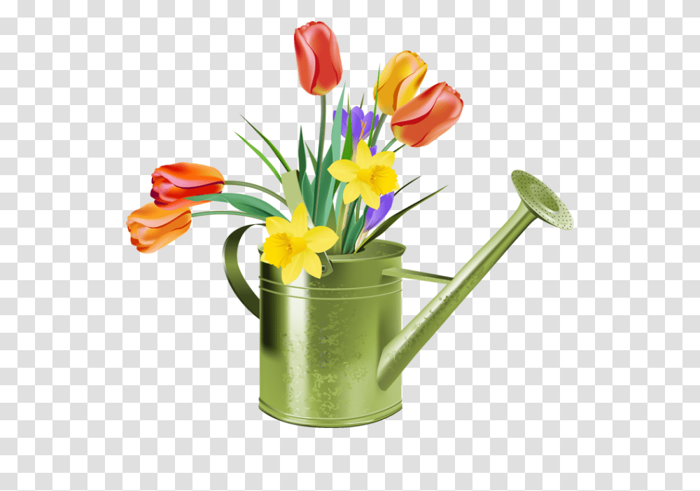 Blog, Plant, Tin, Watering Can, Flower Transparent Png