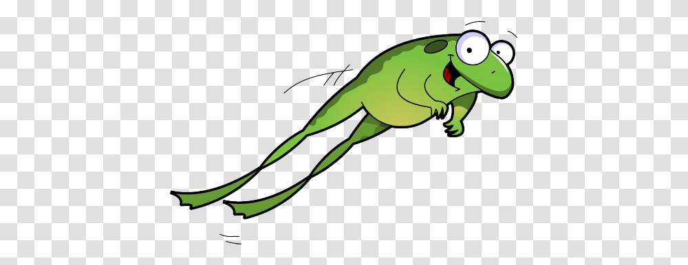 Blog Posts, Wildlife, Animal, Amphibian, Tadpole Transparent Png