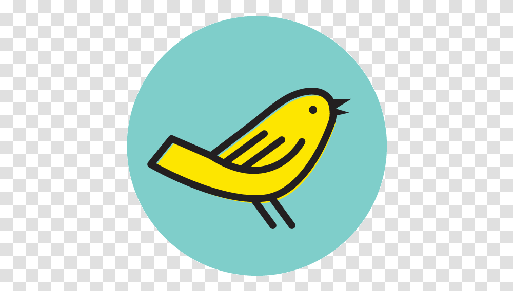 Blog - Lellobird Songbirds, Plant, Text, Fruit, Food Transparent Png