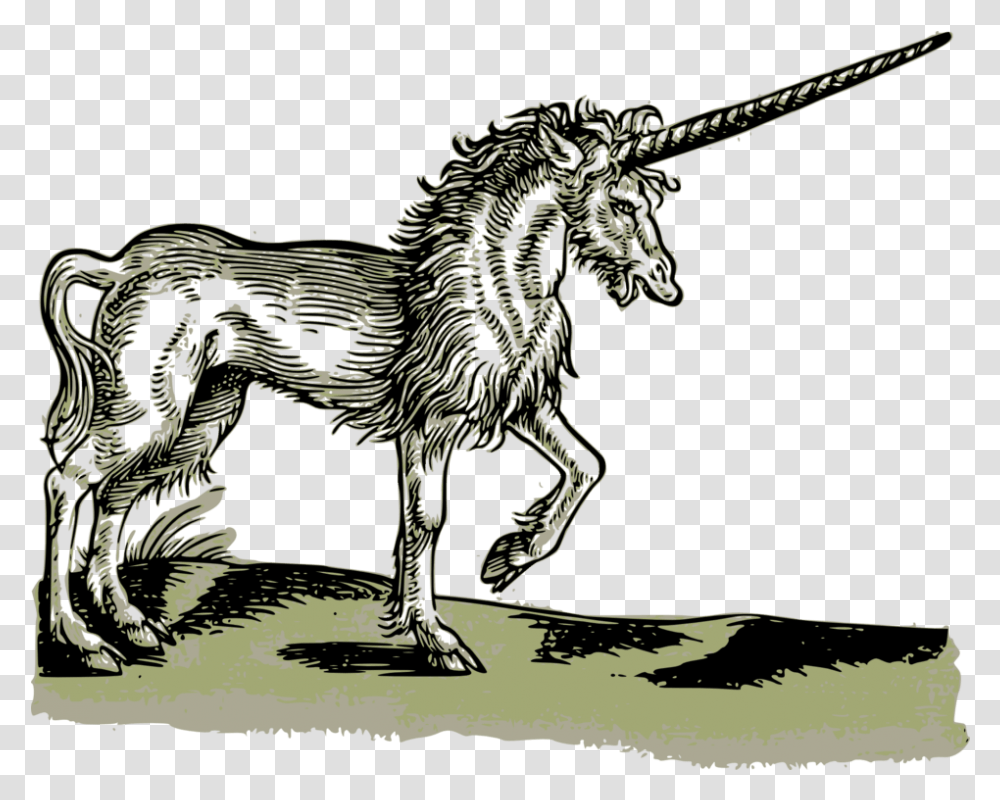 Blog Unicorn Greek, Dinosaur, Reptile, Animal, Wolf Transparent Png