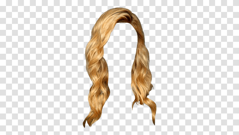 Blond, Hair, Person, Human, Ponytail Transparent Png