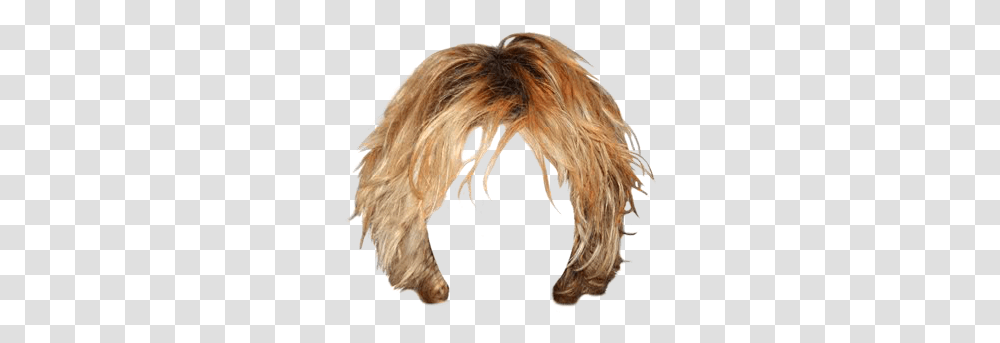 Blond Shaggy Hair, Person, Wig Transparent Png