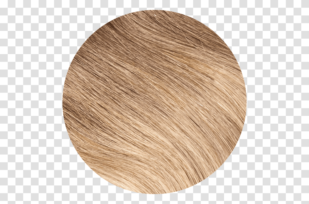 Blond, Wood, Rug, Plywood, Hair Transparent Png