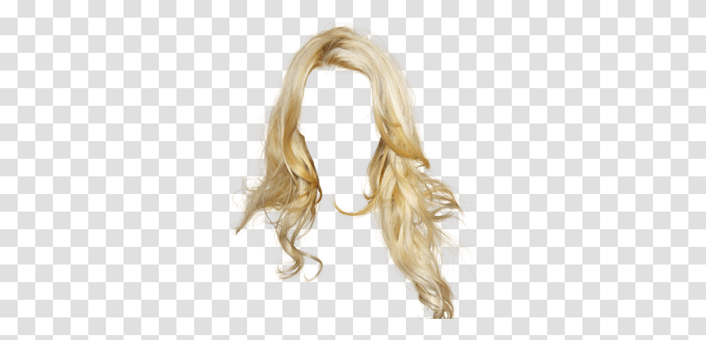 Blonde Hair Blond Hair, Wig, Bird, Animal, Painting Transparent Png