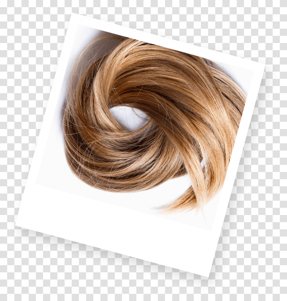 Blonde Hair Human Hair Color, Home Decor, Painting, Art, Rope Transparent Png