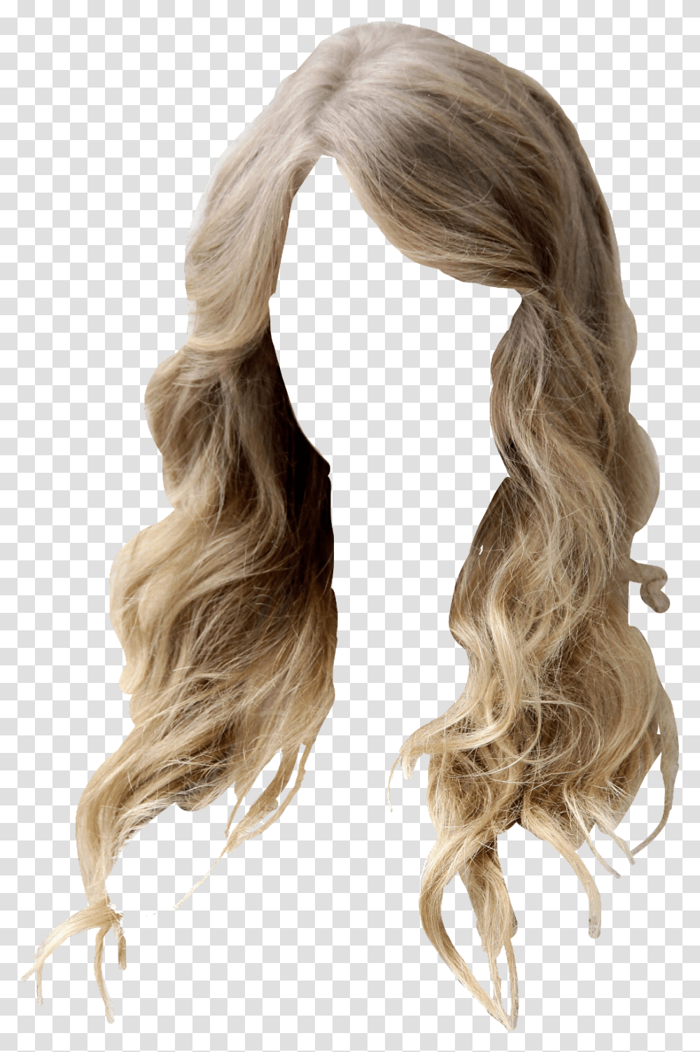 Blonde Hair, Person, Human, Ponytail, Wig Transparent Png