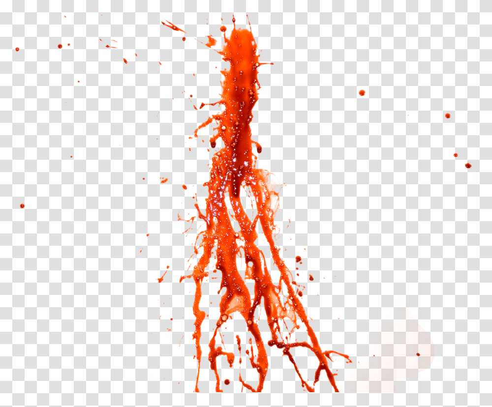 Blood, Animal, Bonfire, Flame, Invertebrate Transparent Png