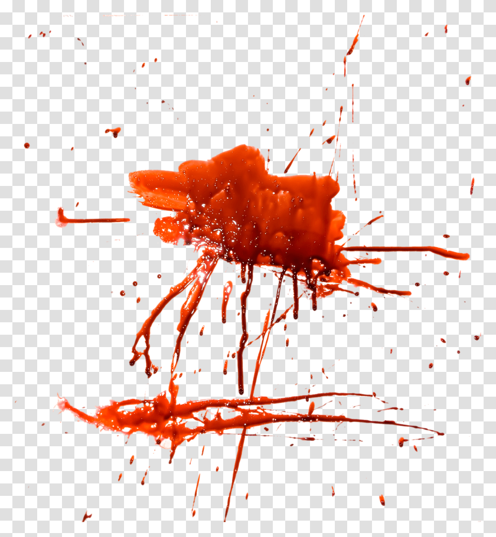 Blood, Animal, Sea Life, Outdoors, Paper Transparent Png