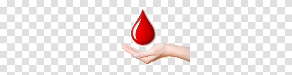 Blood Donation Hd Blood Donation Hd Images, Hand, Person, Human, Photography Transparent Png