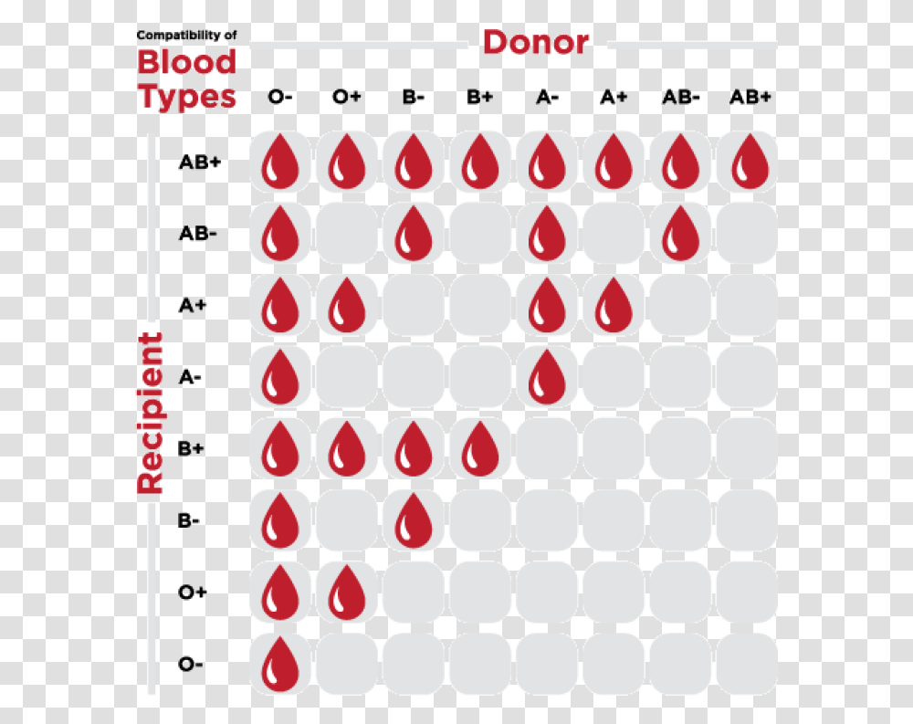 Blood Drive Blood Type Donation, Number, Rug Transparent Png