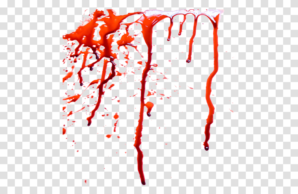 Blood From Mouth, Animal, Beverage, Drink, Sea Life Transparent Png