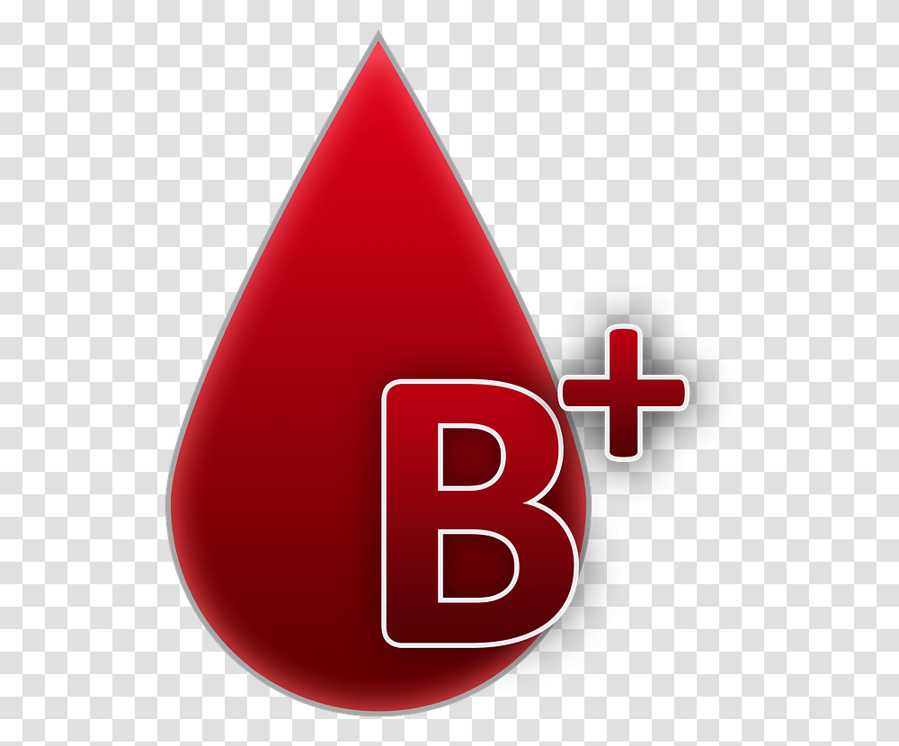 Blood Group B Rh Factor Positive Blood Factor Rh Negativo, Logo, Trademark, Triangle Transparent Png