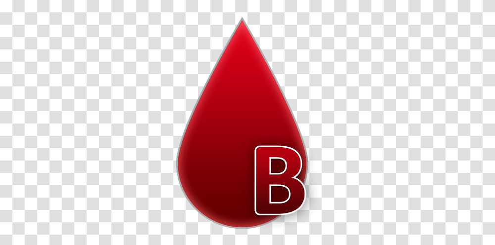 Blood Group Is More Vulnerable To Coronavirus, Triangle, Cone, Plant Transparent Png