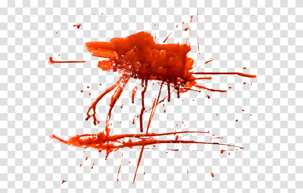 Blood Image Splattered Tomato, Animal Transparent Png