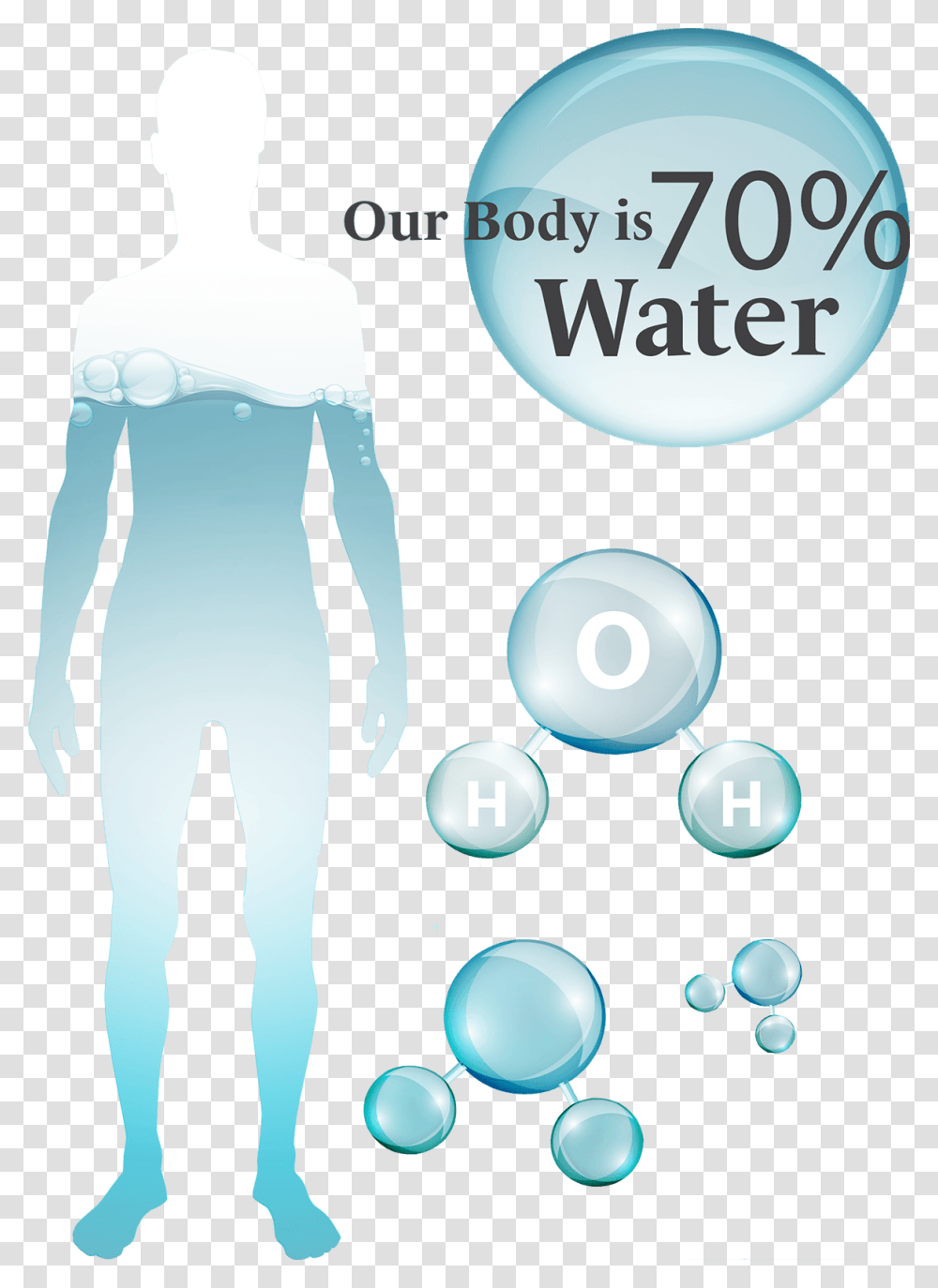 Blood In Water Water Percent In Body, Bubble, Advertisement, Poster Transparent Png