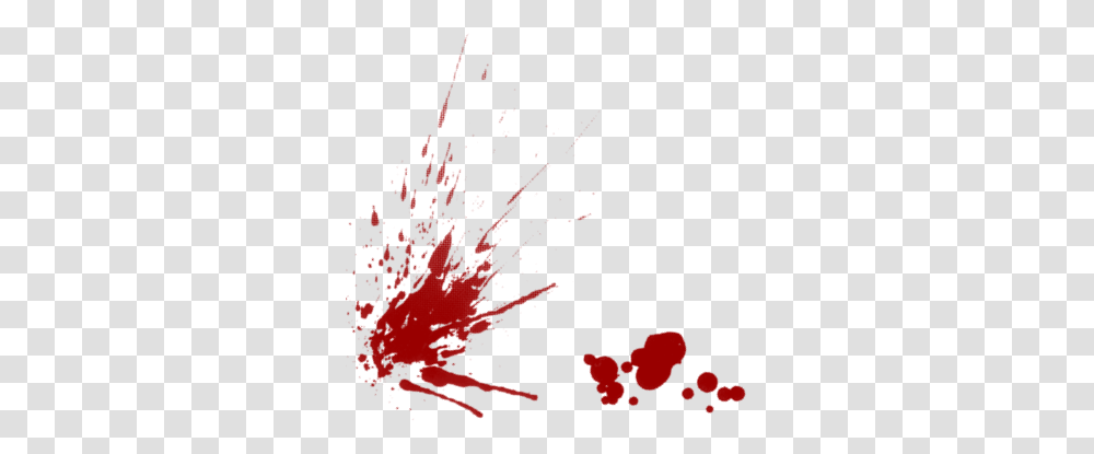 Blood, Maroon, Logo, Trademark Transparent Png