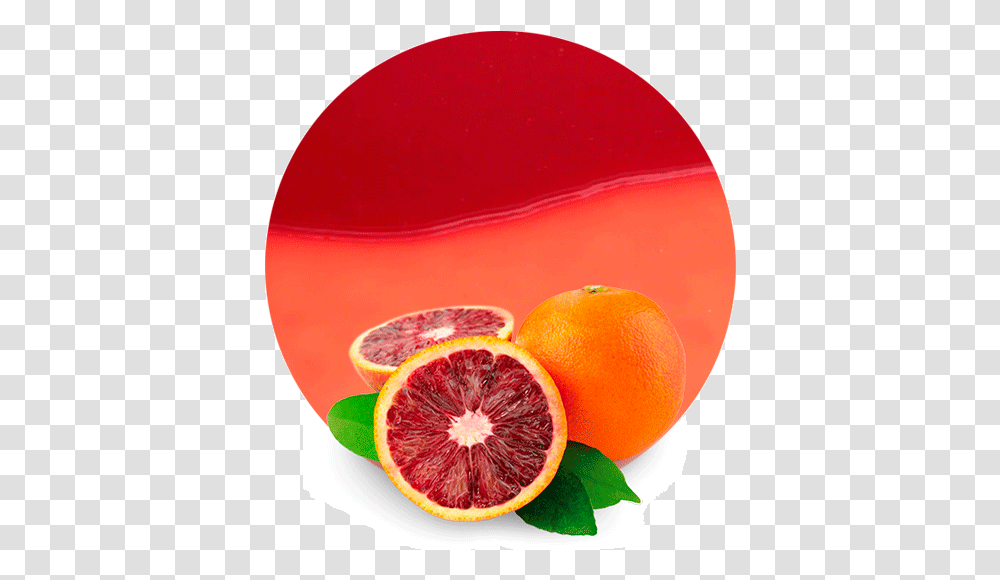Blood Orange Oil, Grapefruit, Citrus Fruit, Produce, Food Transparent Png