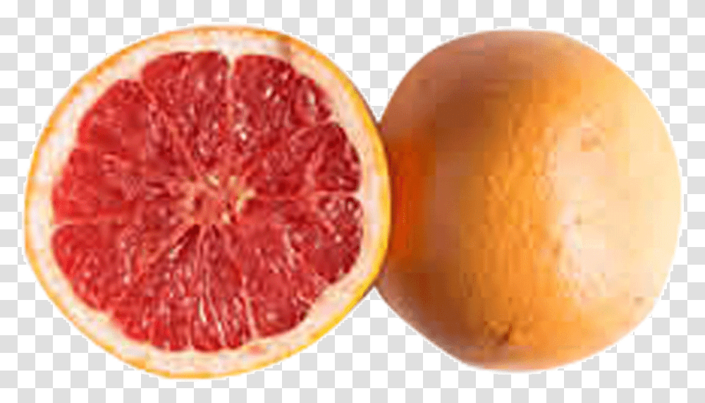 Blood Orange Picture 446494 Grapefruit, Citrus Fruit, Plant, Food, Produce Transparent Png