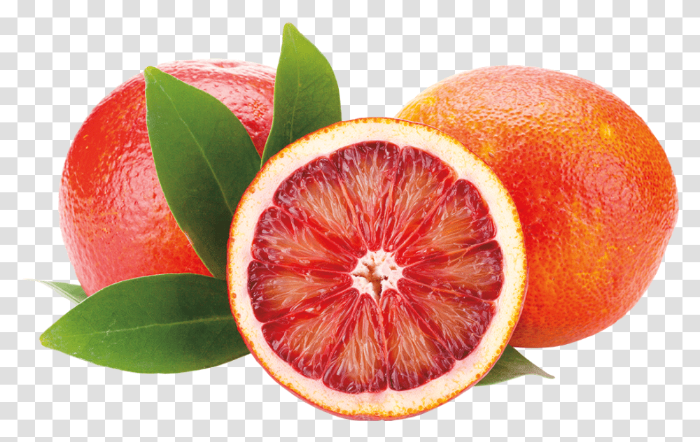 Blood Orange Slim Hunger Control Info Sheet, Grapefruit, Citrus Fruit, Produce, Food Transparent Png