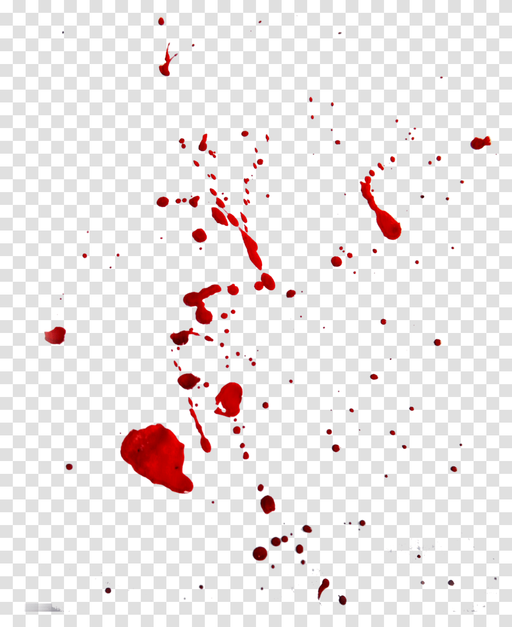 Blood, Petal, Flower, Plant, Blossom Transparent Png