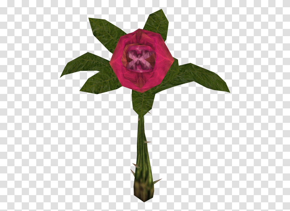 Blood Rose Alice Wiki Fandom Powered, Floral Design, Pattern Transparent Png