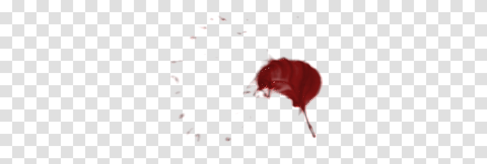 Blood Splatter, Invertebrate, Animal, Sea Life, Jellyfish Transparent Png