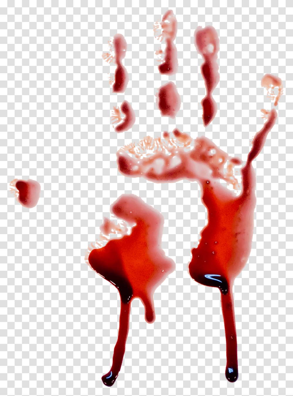 Blood, Stain, Plant, Food, Stomach Transparent Png