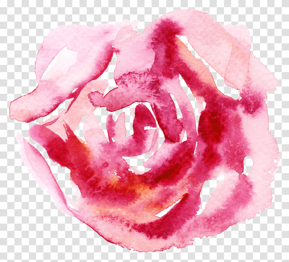Blood Stamen Cartoon Garden Roses, Plant, Petal, Flower, Pattern Transparent Png