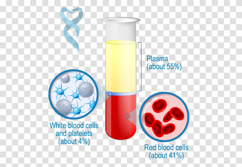 Blood Structure Prf Plasma Red And White Blood Cells, Cylinder, Glass, Shaker, Bottle Transparent Png