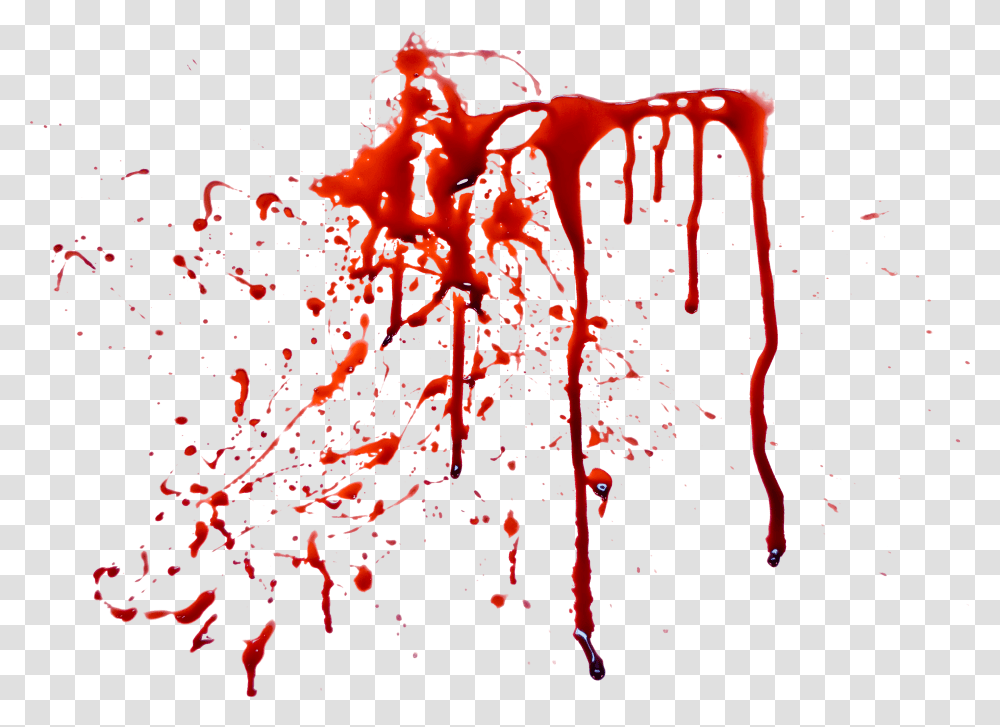 Blood Stain Outdoors Nature Poster Animal Transparent Png Pngset Com