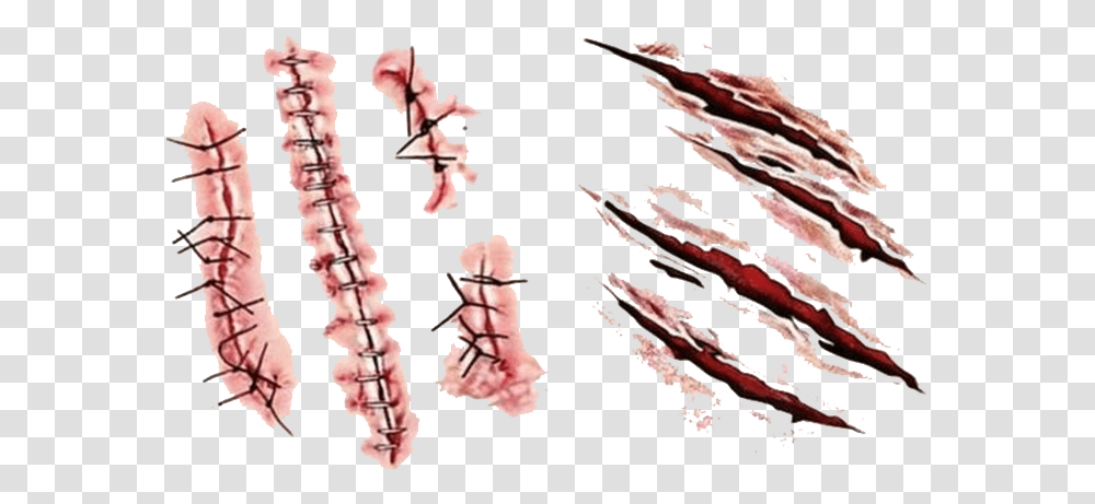 Blood Wound Collections Bloody Scar, Hook, Claw, Flower, Plant Transparent Png