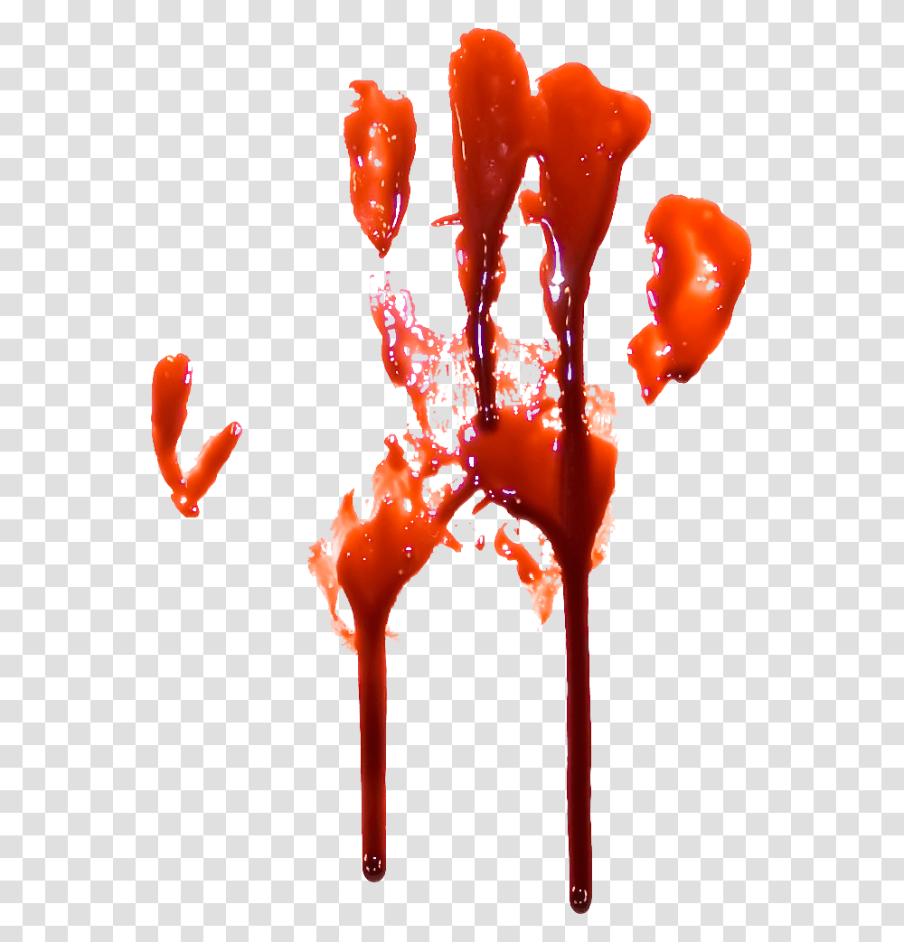 Bloody Handprint Four Bloody Hand Print Background, Animal, Sea Life, Person Transparent Png