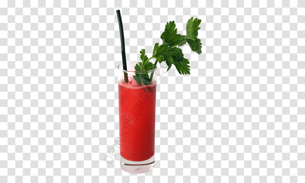 Bloody Mary Cocktail Image, Alcohol, Beverage, Drink, Mojito Transparent Png