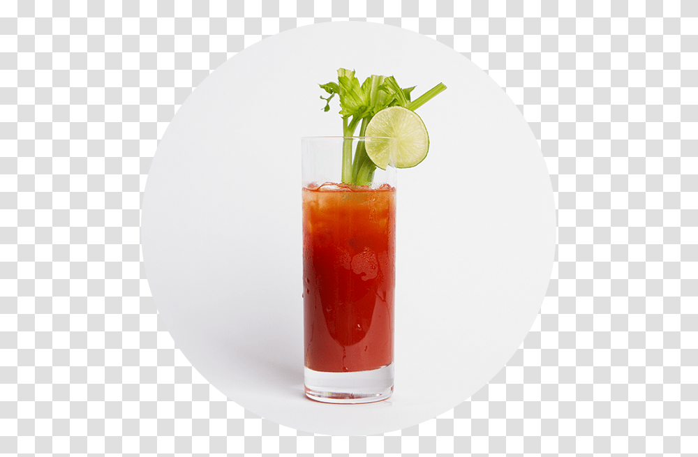 Bloody Mary Download Zombie, Cocktail, Alcohol, Beverage, Potted Plant Transparent Png