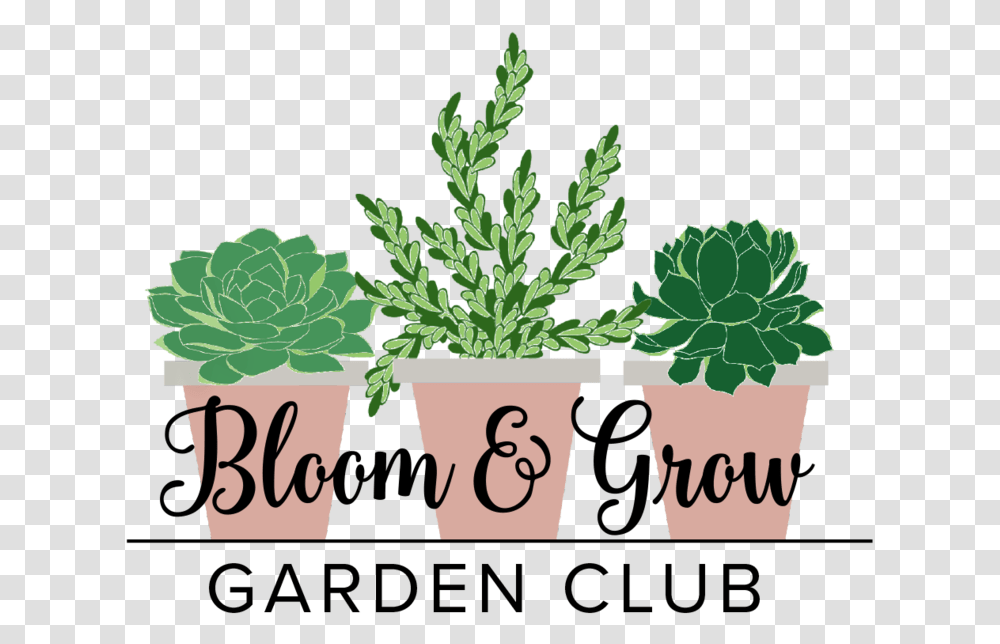 Bloom And Grow Radio, Potted Plant, Vase, Jar, Pottery Transparent Png