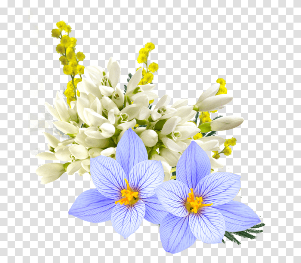 Bloom Frame Flower Border Flowers White Bouquet Girl With Flowers, Plant, Anther, Pollen, Petal Transparent Png