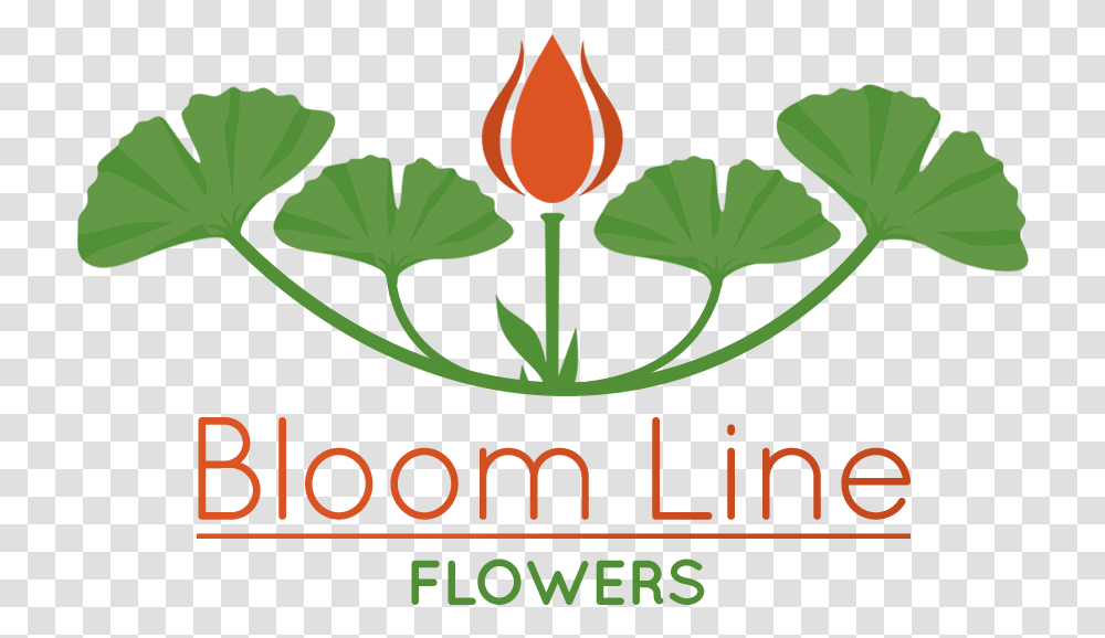 Bloom Line Flowers Illustration, Poster, Plant, Leaf Transparent Png
