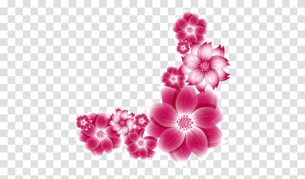 Bloom Pink Frame Flower Border Flowers White Flower Frame Pink, Plant, Floral Design Transparent Png