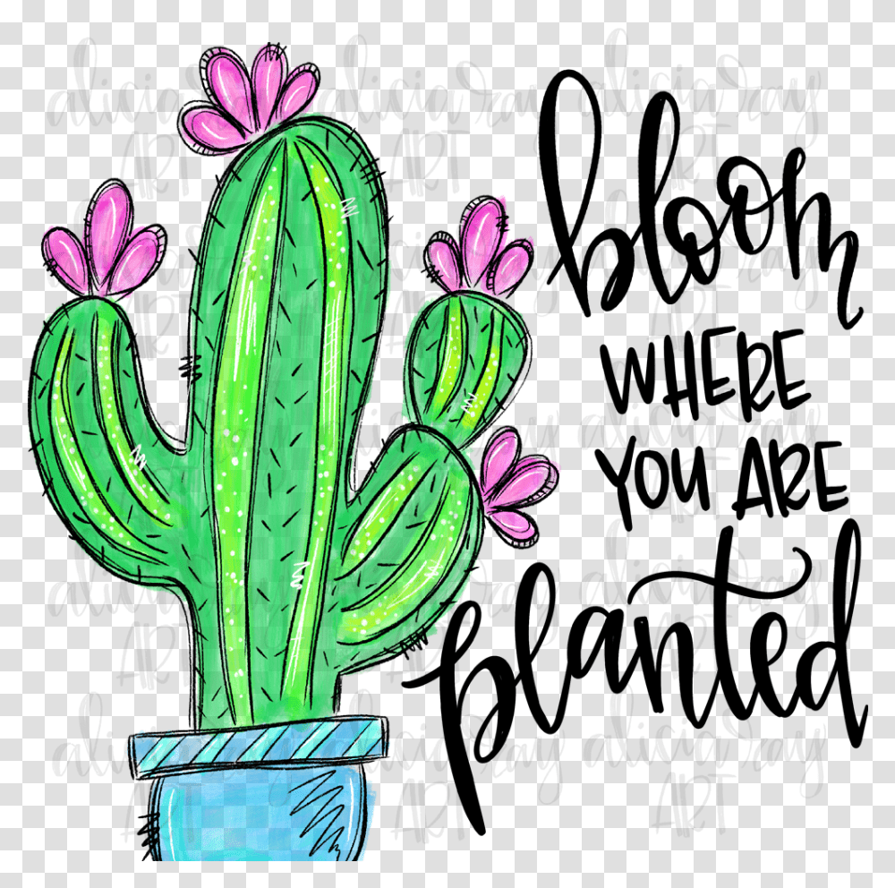Bloom Where You're Planted Bloom Where Youre Planted Cactus Transparent Png