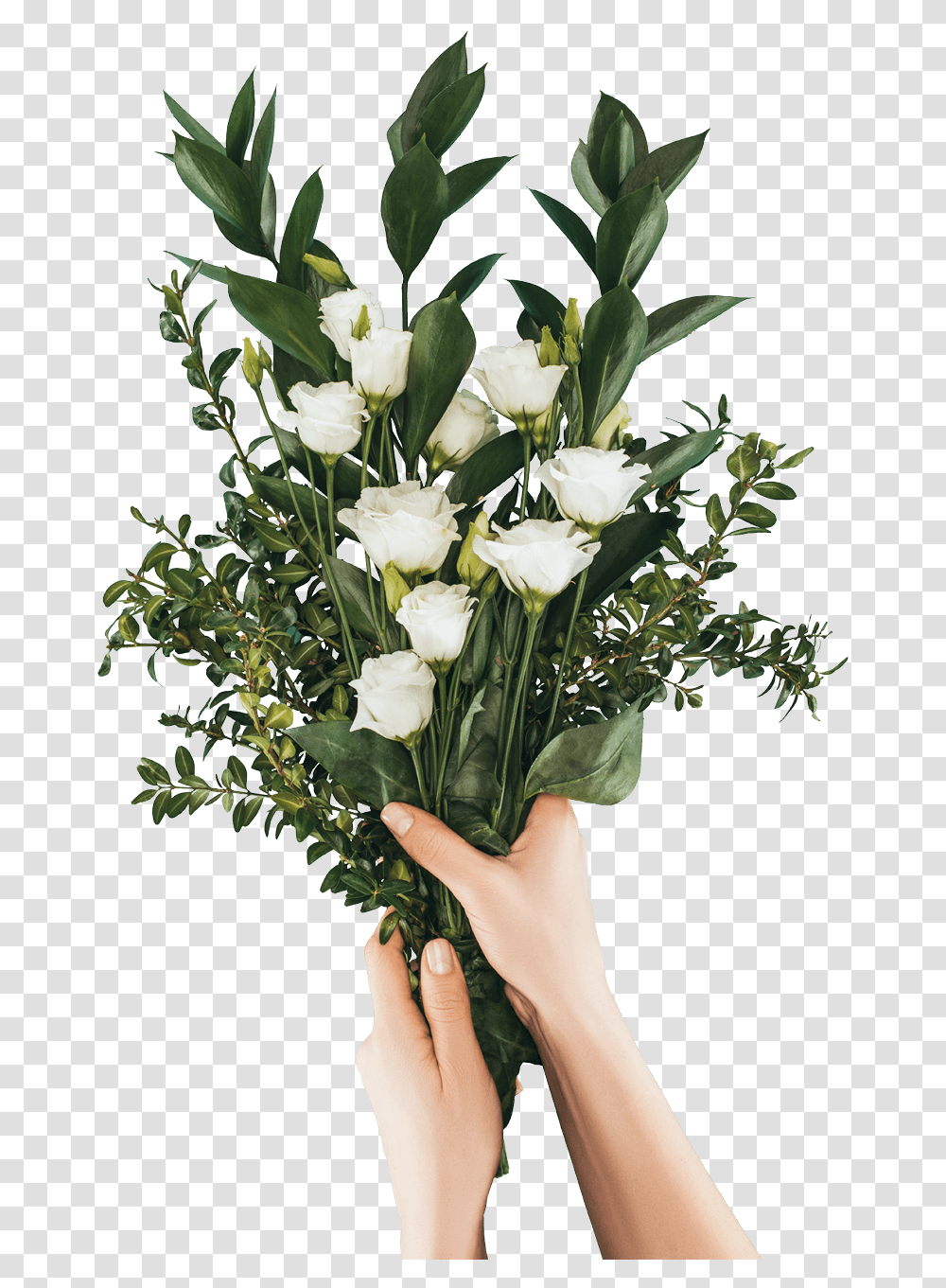 Bloom Your Career With Floristry & Floral Arrangement Stock Photography, Plant, Person, Human, Flower Transparent Png