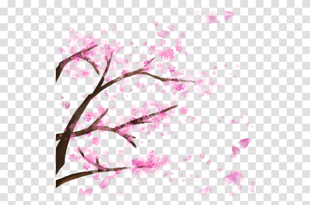 Blooming Cherry Tree Cherry Blossomsakura Cherry Cherry Blossom Falling Petals Backgrounds, Plant, Flower, Transparent Png