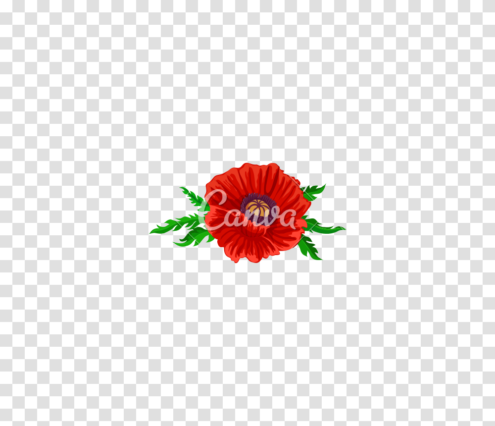 Blooming Red Rose Vector Icon Illustration Design, Plant, Floral Design Transparent Png