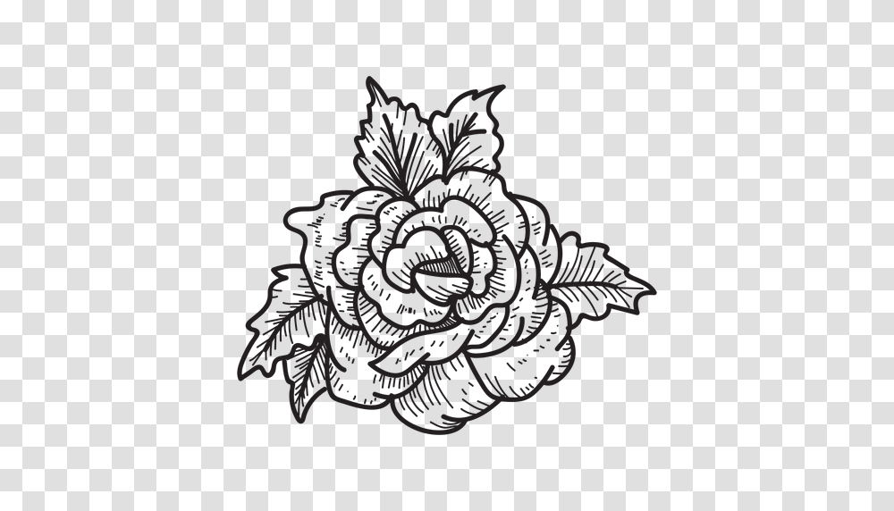 Blooming Rose Head Sketch Icon, Drawing, Doodle Transparent Png