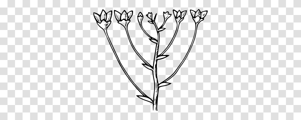 Blooms Nature, Gray, World Of Warcraft Transparent Png