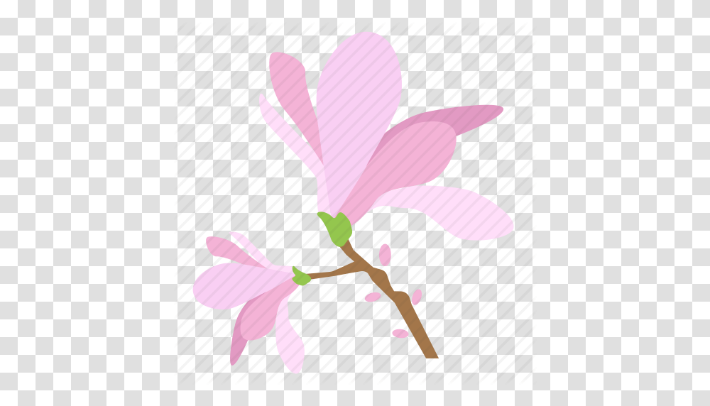 Blossom Botany Floral Flower Magnolia Plant Tree Icon, Purple, Orchid, Petal, Crocus Transparent Png