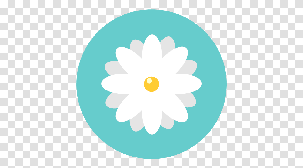Blossom Chamomile Daisy Flower Flowers Icon, Plant, Daisies, Egg, Food Transparent Png