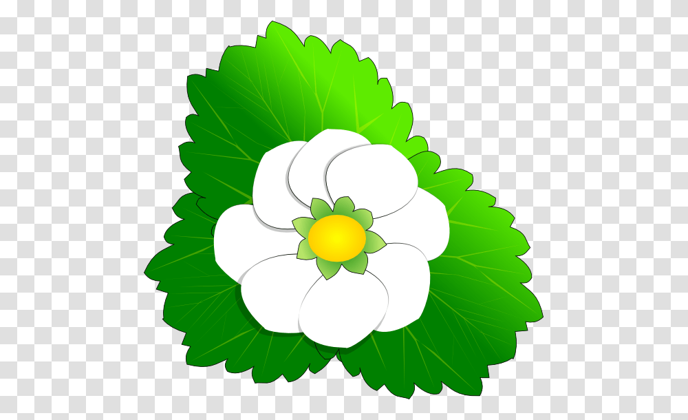 Blossom Clipart Leaf, Green, Plant, Floral Design Transparent Png