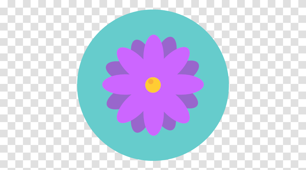 Blossom Daisy Flower Flowers Nature Icon, Purple, Plant, Daisies, Light Transparent Png