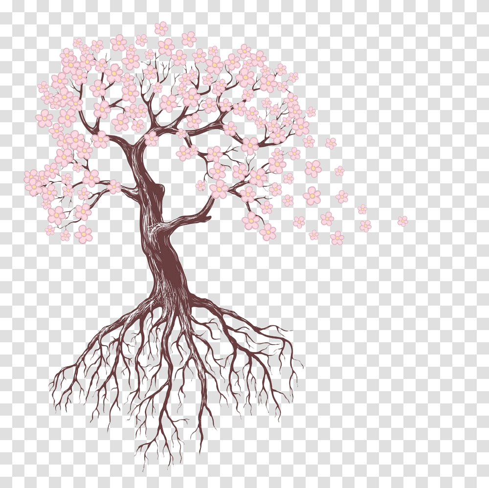 Blossom Drawing Sakura Tree Picture 1313202 Tree With Flowers Drawing, Root, Plant, Cross, Symbol Transparent Png