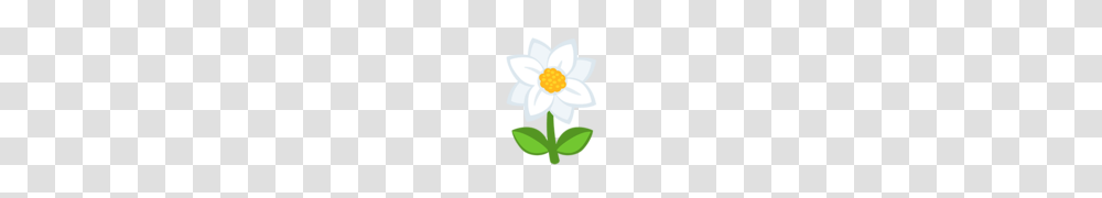 Blossom Emoji, Plant, Anemone, Flower, Daisy Transparent Png